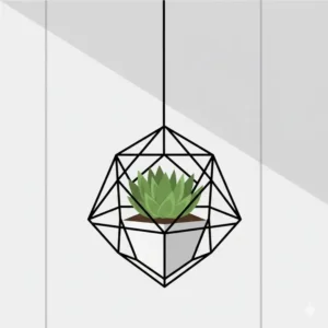 Digital illustration of a black geometric hanging modern planter featuring sharp lines and a succulent.