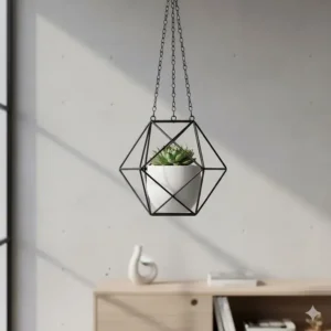 A black geometric metal contemporary hanging planters holding a green succulent in a minimalist office space.