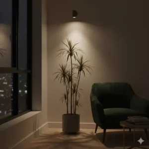 A slender Dracaena Marginata, perfect for those seeking the best low light indoor trees for home decor.