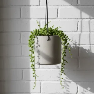 Minimalist grey concrete contemporary hanging planters against a clean white brick wall background.