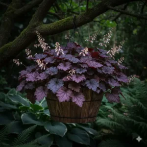 Purple Heuchera leaves in a wooden planter, ideal for those seeking the best perennials for hanging baskets in shady spots.