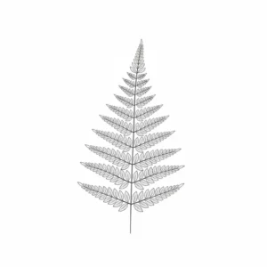 A minimalist line art illustration of a light fern leaf showing intricate vein details on a white background.