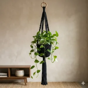 A minimalist black macrame plant hanger suspending a green indoor plant against a neutral background.
